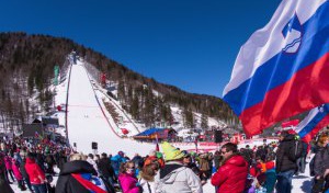 Stavni nasvet za 25.03.2017